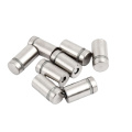 Stainless Steel Advertising Screw